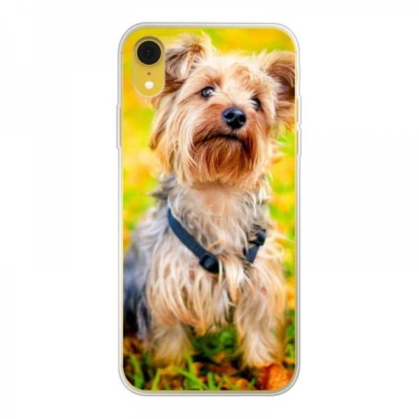 Apple iPhone Xr Soft case (back printed, transparent)