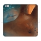 Apple iPhone 6/6s Plus Wallet case (fully printed)